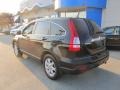 2009 Crystal Black Pearl Honda CR-V EX-L 4WD  photo #3