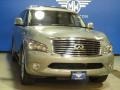 Liquid Platinum - QX 56 4WD Photo No. 1
