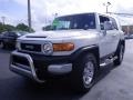 2010 Iceberg White Toyota FJ Cruiser TRD  photo #9