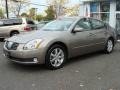 Spirited Bronze - Maxima 3.5 SL Photo No. 3
