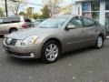 2004 Spirited Bronze Nissan Maxima 3.5 SL  photo #3