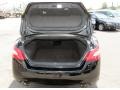 Super Black - Maxima 3.5 SV Photo No. 9