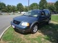 2005 Norsea Blue Metallic Ford Freestyle SEL AWD  photo #3