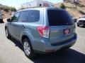 2009 Sage Green Metallic Subaru Forester 2.5 X  photo #5