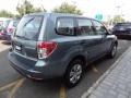 2009 Sage Green Metallic Subaru Forester 2.5 X  photo #5
