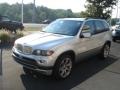 2005 Titanium Silver Metallic BMW X5 4.8is  photo #4