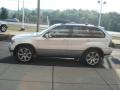 Titanium Silver Metallic - X5 4.8is Photo No. 5