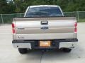 2012 Pale Adobe Metallic Ford F150 XLT SuperCrew  photo #6