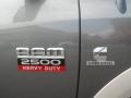 Mineral Gray Metallic - Ram 2500 HD Laramie Crew Cab 4x4 Photo No. 9