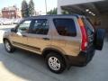 2002 Mojave Mist Metallic Honda CR-V EX 4WD  photo #12