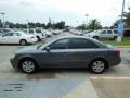 Willow Gray - Sonata GLS Photo No. 5