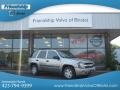 Light Pewter Metallic - TrailBlazer LS 4x4 Photo No. 1