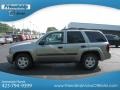Light Pewter Metallic - TrailBlazer LS 4x4 Photo No. 2