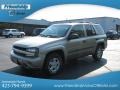 Light Pewter Metallic - TrailBlazer LS 4x4 Photo No. 3