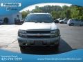 Light Pewter Metallic - TrailBlazer LS 4x4 Photo No. 4