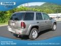 Light Pewter Metallic - TrailBlazer LS 4x4 Photo No. 7