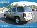 Light Pewter Metallic - TrailBlazer LS 4x4 Photo No. 9
