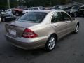 Desert Silver Metallic - C 240 Sedan Photo No. 6