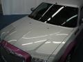 Bright Silver Metallic - 300 Touring Photo No. 9