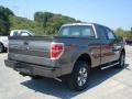 Sterling Gray Metallic - F150 STX SuperCab 4x4 Photo No. 8