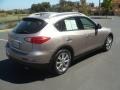 2008 Scarlet Silver Infiniti EX 35 Journey  photo #7