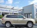 Sandy Beach Metallic - Highlander  Photo No. 1