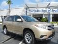 Sandy Beach Metallic - Highlander  Photo No. 2