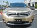 Sandy Beach Metallic - Highlander  Photo No. 3