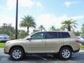 Sandy Beach Metallic - Highlander  Photo No. 5