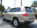 Sandy Beach Metallic - Highlander  Photo No. 6