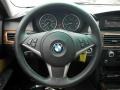 Natural Brown Steering Wheel Photo for 2008 BMW 5 Series #69872176