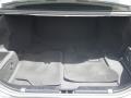 Natural Brown Trunk Photo for 2008 BMW 5 Series #69872245