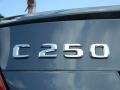 2013 Mercedes-Benz C 250 Coupe Badge and Logo Photo