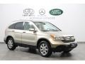 2008 Borrego Beige Metallic Honda CR-V EX-L  photo #1