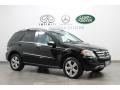 Black - ML 350 4Matic Photo No. 1