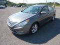 Harbor Gray Metallic - Sonata Limited Photo No. 3