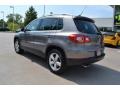 Alpine Grey Metallic - Tiguan SE Photo No. 3