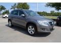 Alpine Grey Metallic - Tiguan SE Photo No. 7