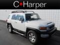 2010 Iceberg White Toyota FJ Cruiser   photo #1