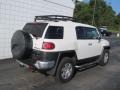 2010 Iceberg White Toyota FJ Cruiser   photo #8