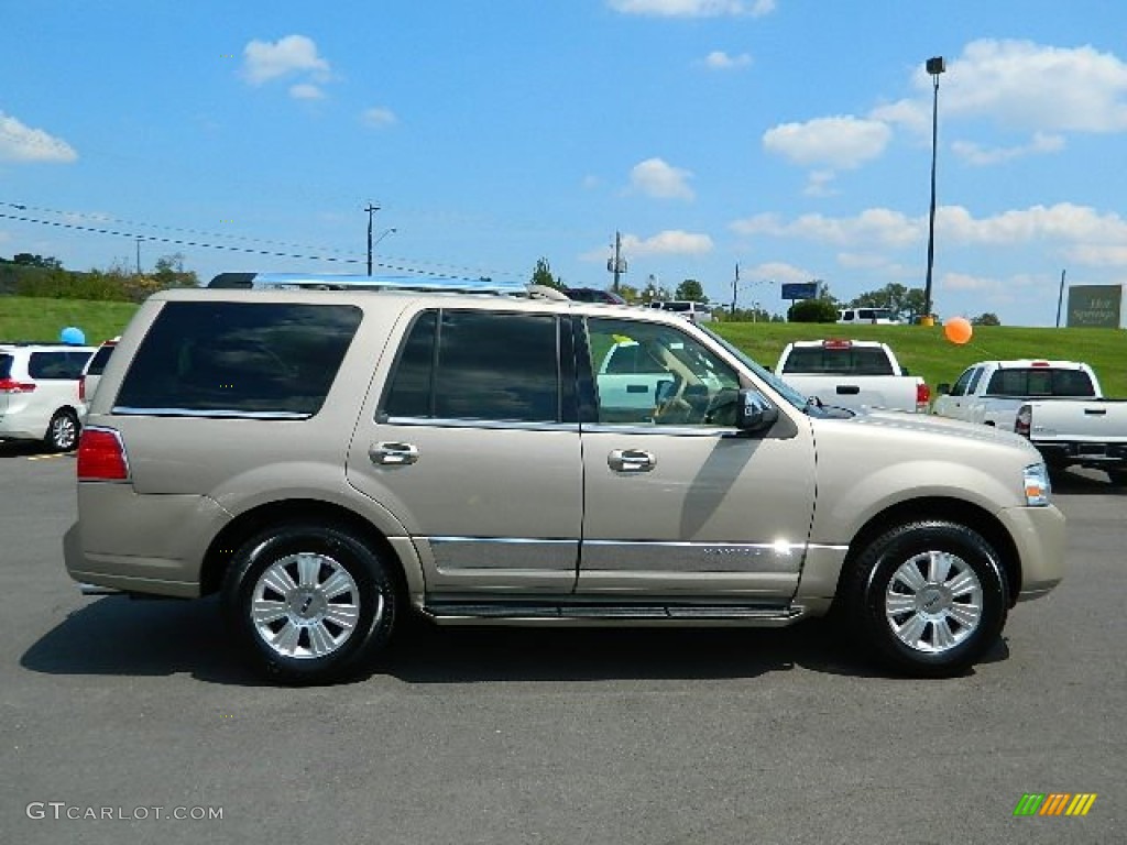 Light French Silk Metallic 2008 Lincoln Navigator Luxury Exterior Photo #69881458