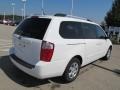 2010 Clear White Kia Sedona LX  photo #8