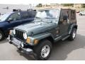2002 Shale Green Metallic Jeep Wrangler Sahara 4x4  photo #4