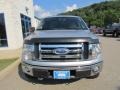 2009 Brilliant Silver Metallic Ford F150 XLT SuperCrew 4x4  photo #6