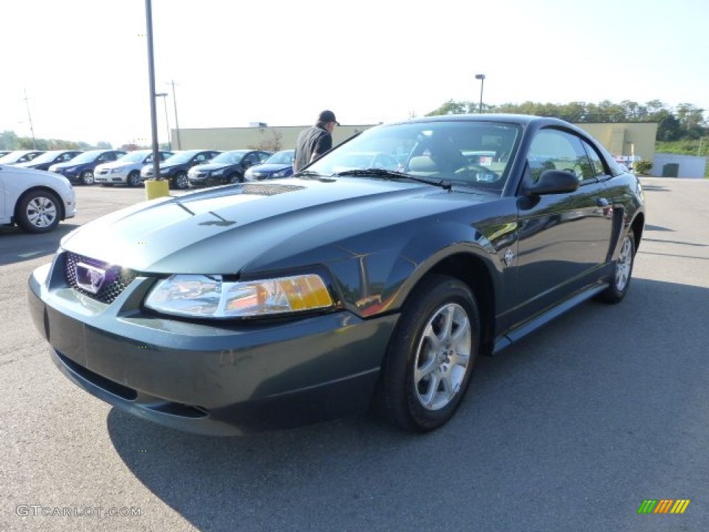 1999 Mustang V6 Coupe - Dark Green Satin Metallic / Light Graphite photo #5