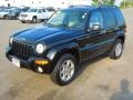 Black Clearcoat 2003 Jeep Liberty Limited