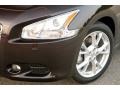 Crimson Black - Maxima 3.5 SV Premium Photo No. 1