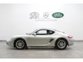 Arctic Silver Metallic - Cayman  Photo No. 2