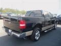 Black - F150 XLT SuperCrew Photo No. 6
