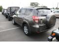 2010 Pyrite Metallic Toyota RAV4 Limited V6 4WD  photo #3